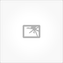 placeholder Bar